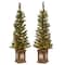 4ft. Pre-Lit Lehigh Valley Pine Entrance Trees with Clear Lights, Set of Two